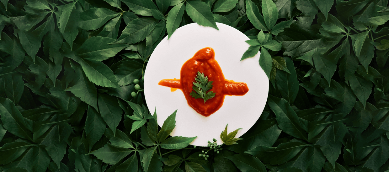 Banner-1240-x-550-px-2.png